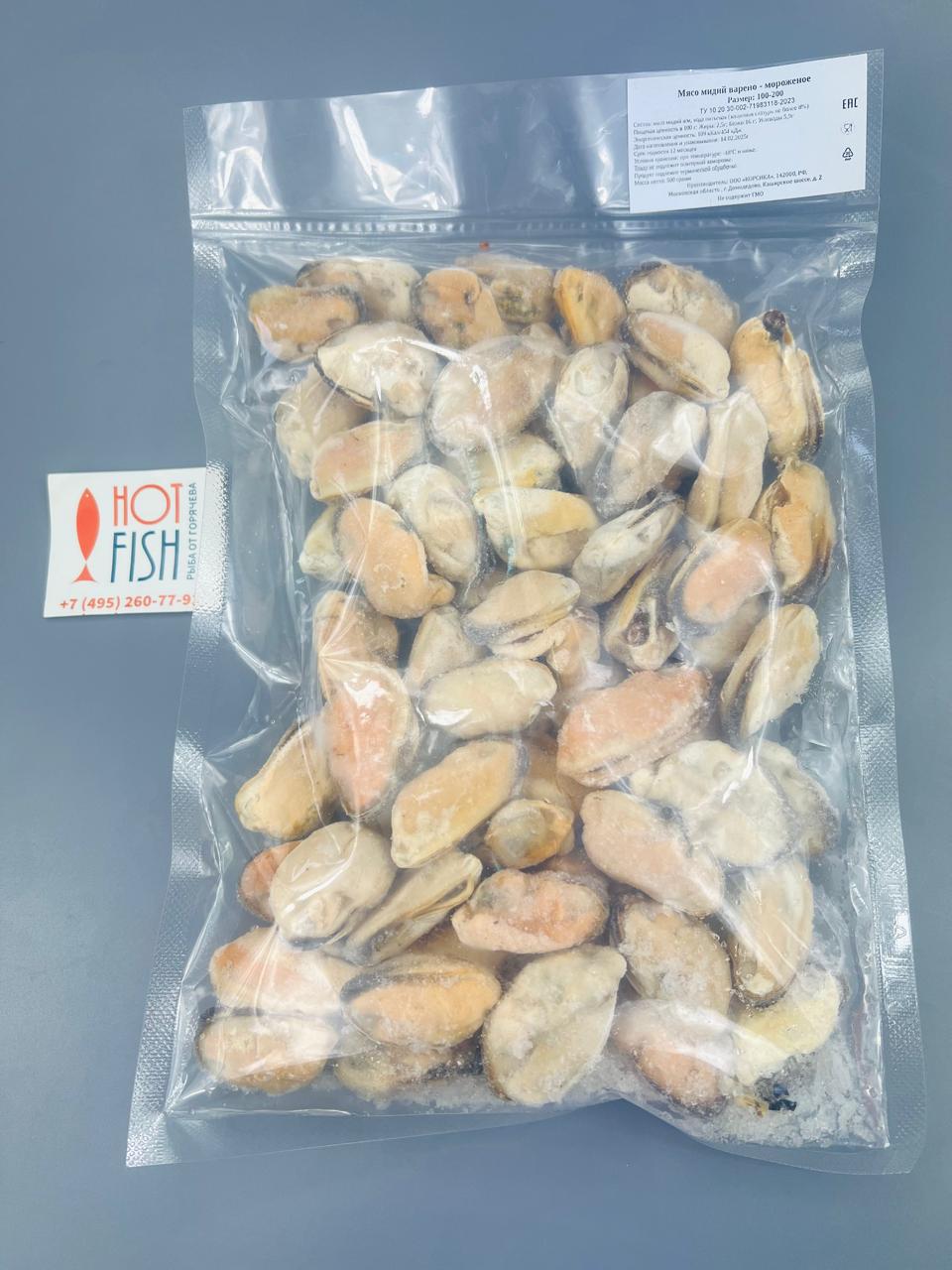 WhatsApp Image 2025-02-17 at 16.06.05