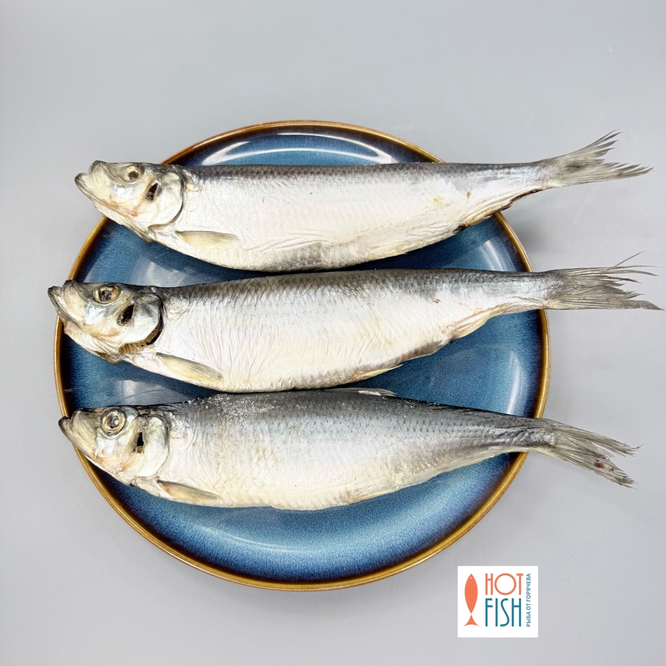 image-03-04-26-05-03