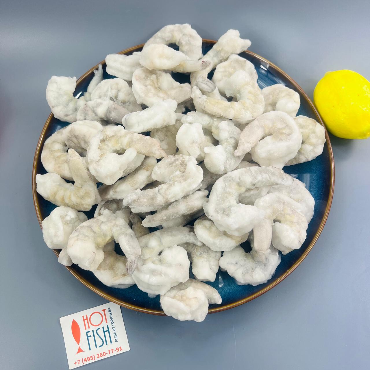 WhatsApp Image 2025-01-31 at 13.41.14