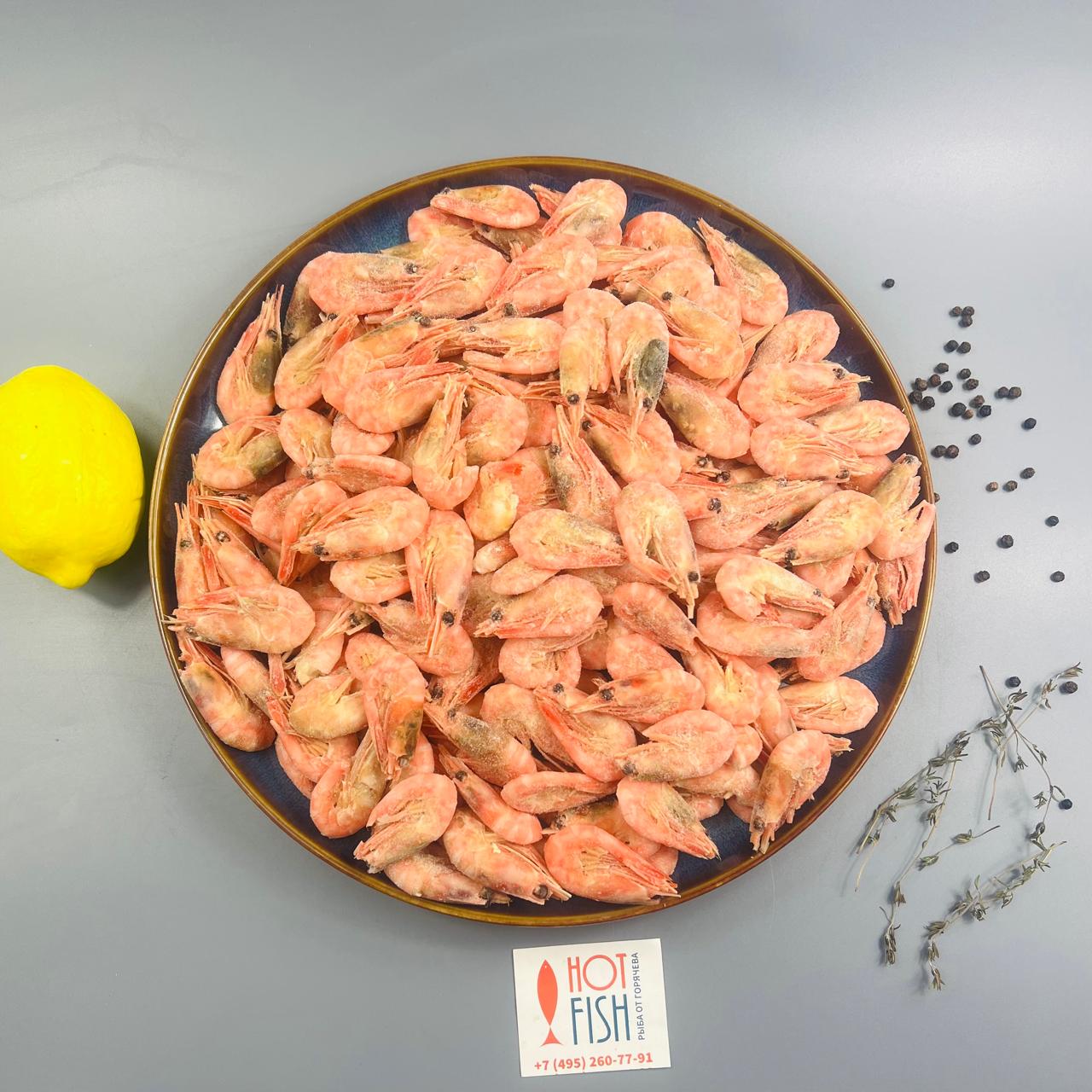 WhatsApp Image 2025-04-23 at 15.54.25