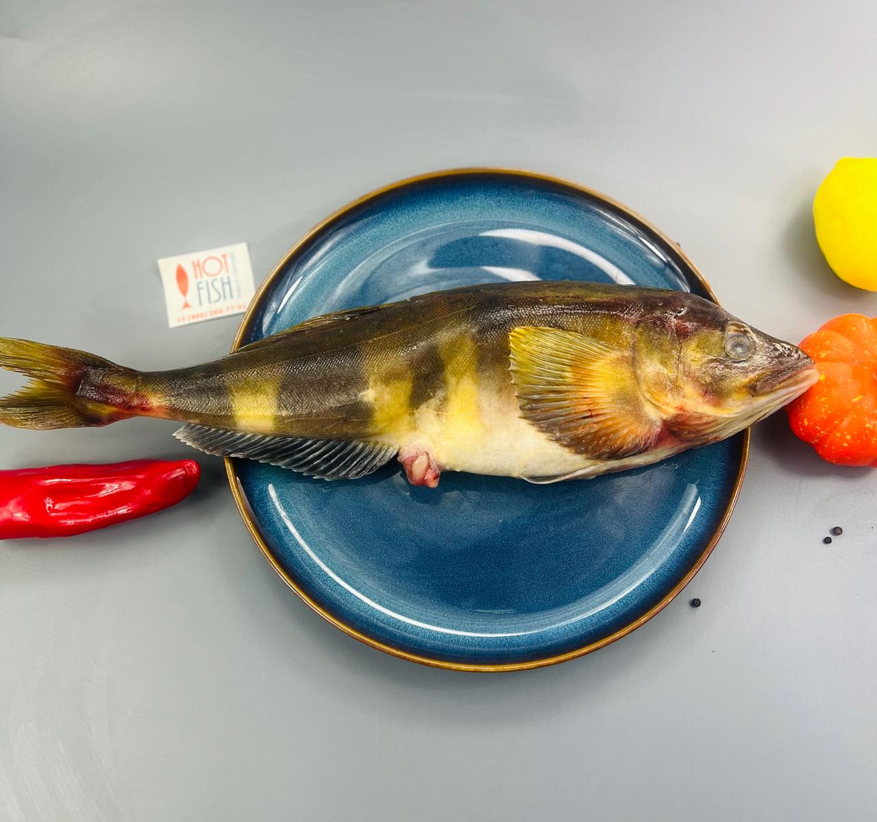 WhatsApp Image 2025-02-27 at 13.08.33