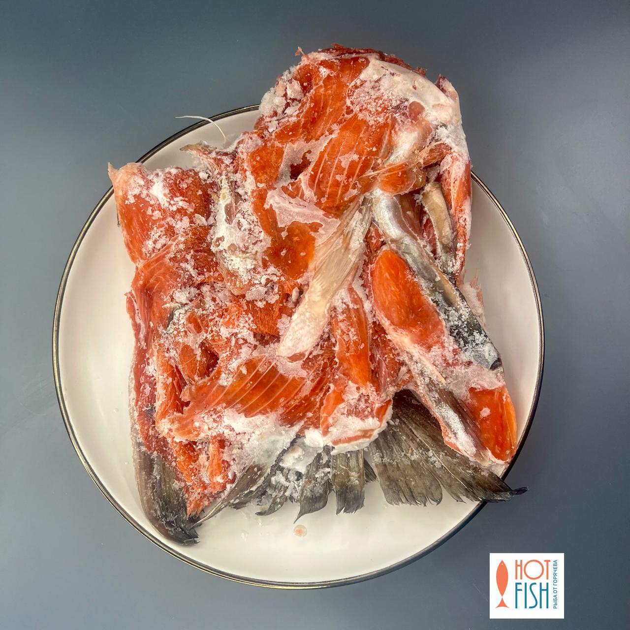 WhatsApp Image 2025-11-13 at 15.25.44