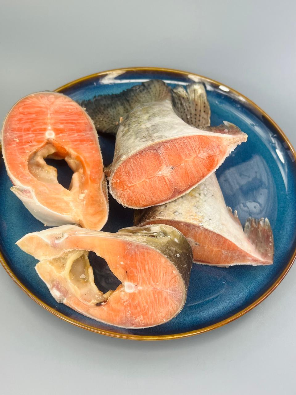 WhatsApp Image 2024-12-19 at 15.06.19