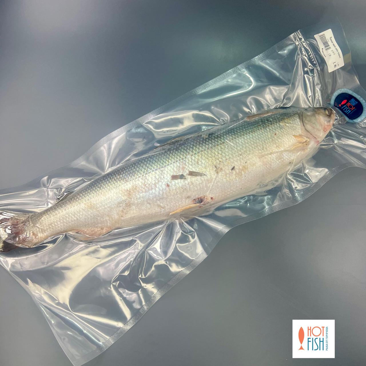 WhatsApp Image 2025-09-15 at 15.56.21 WhatsApp Image 2025-09-15 at 15.56.21