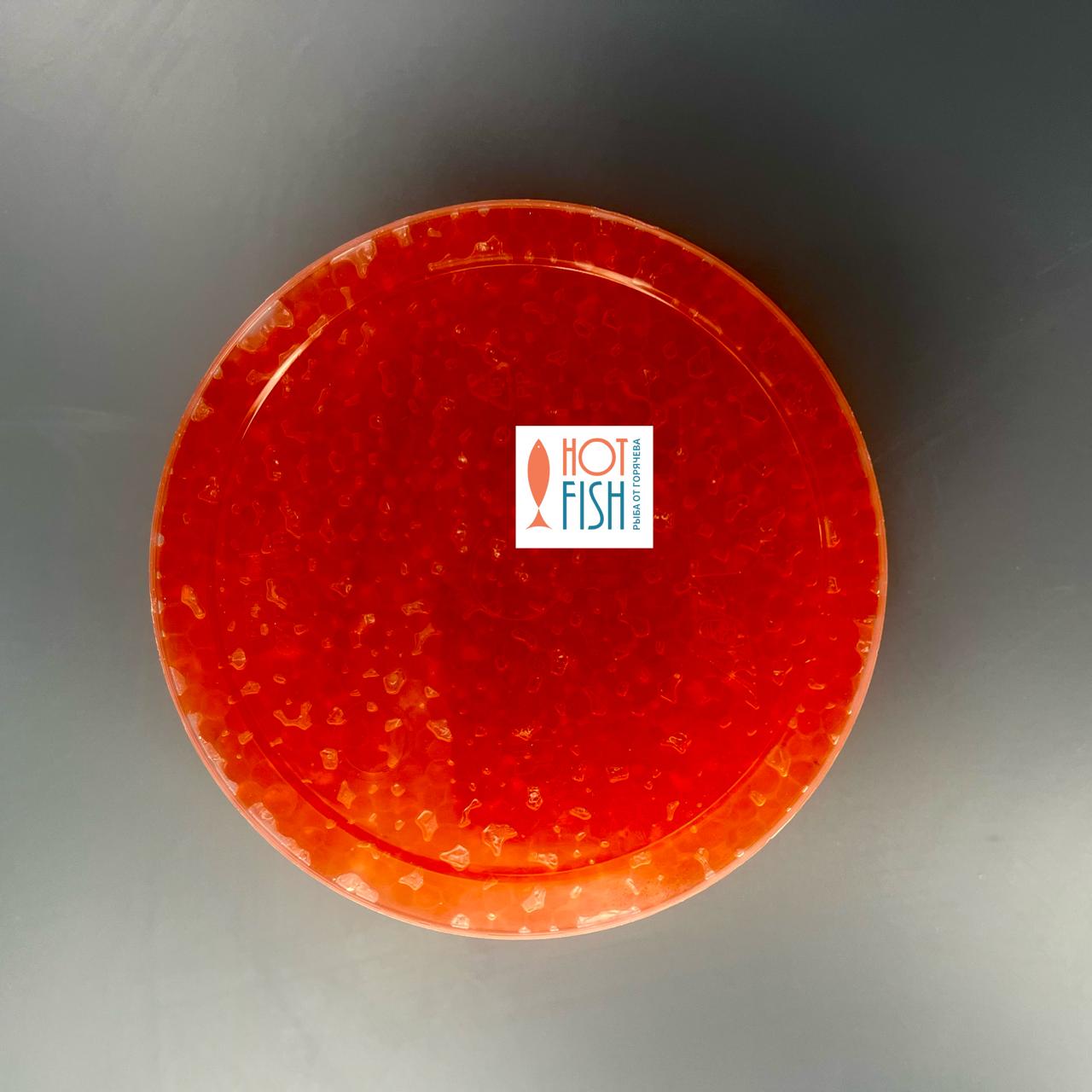 WhatsApp Image 2025-11-12 at 16.50.48 (1)