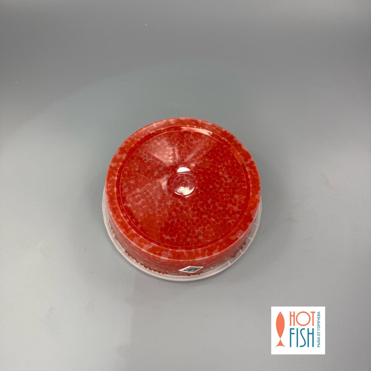 photo_5458704688359345781_y