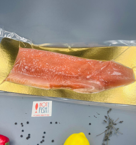 WhatsApp Image 2025-04-30 at 11.51.19 (1)