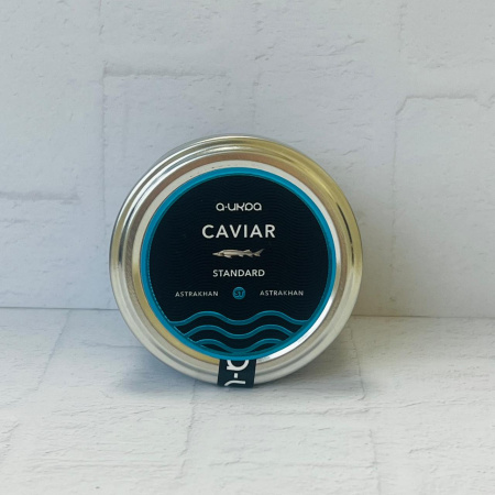 WhatsApp Image 2024-12-11 at 13.47.40