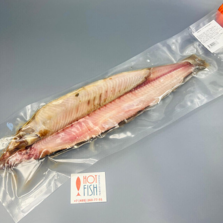 WhatsApp Image 2025-04-04 at 13.58.32