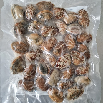 Клемы вонголе в ракушке 31/40, 500