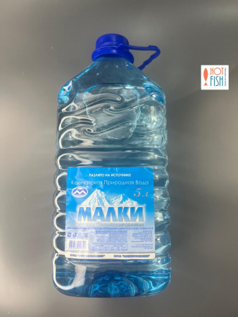 WhatsApp Image 2025-10-28 at 12.50.17