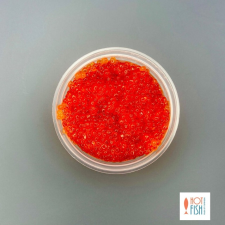 WhatsApp Image 2025-08-27 at 15.56.57