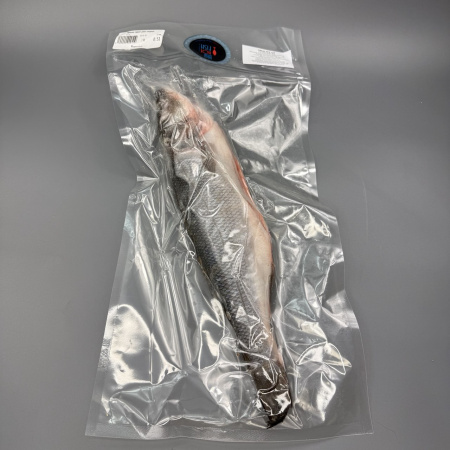 photo_5444912199752159792_y