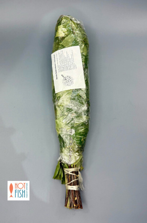 photo_5460921995290677770_y