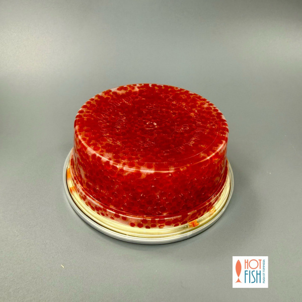 photo_5233608364363814430_y