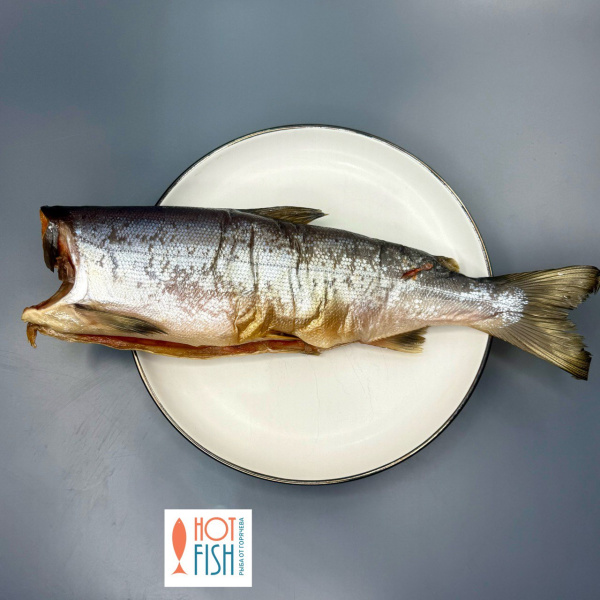 photo_5291870927173914105_y