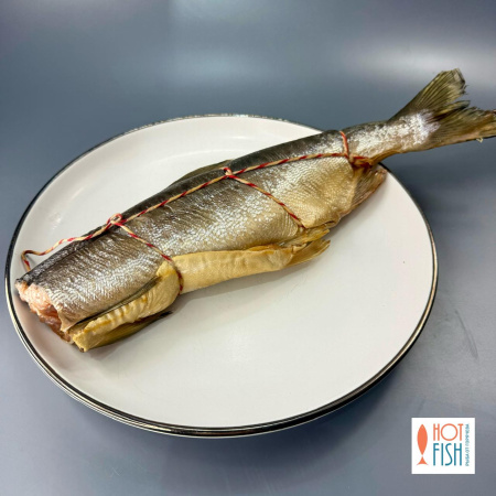 WhatsApp Image 2025-11-28 at 12.57.16 (3)