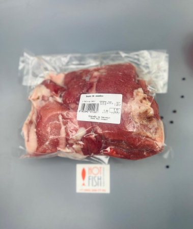 WhatsApp Image 2025-04-11 at 10.43.56