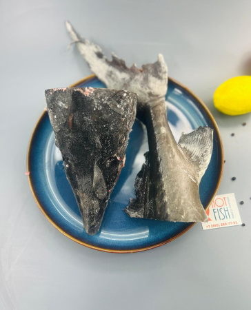 WhatsApp Image 2025-02-25 at 13.24.17 (1)