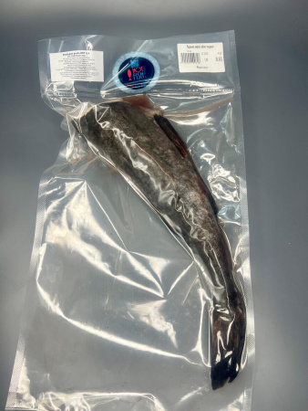 WhatsApp Image 2025-11-21 at 17.04.46 (1)