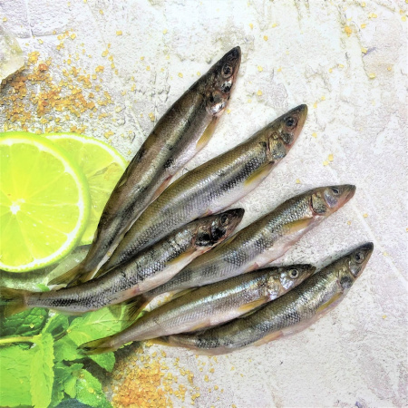 корюшка пор1000