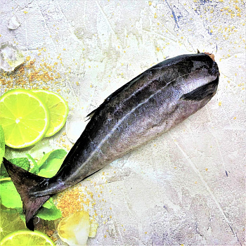 Сайда потрошеная без головы, с/м (~1,3кг)