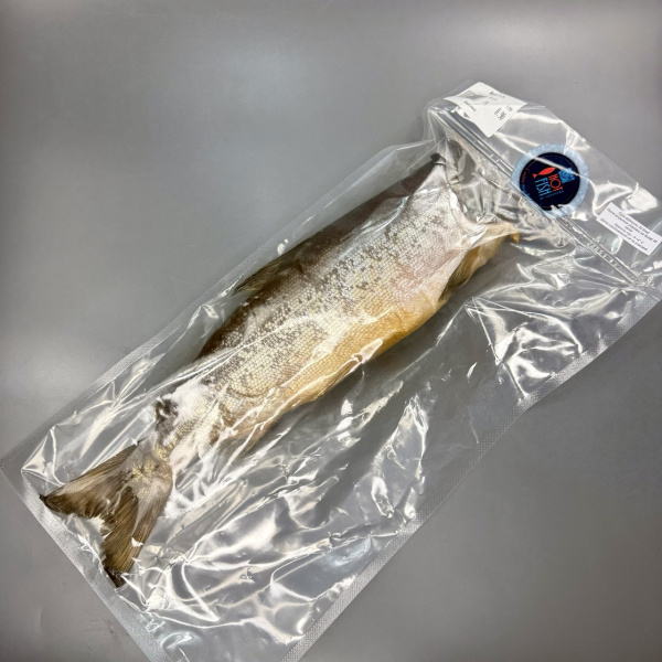 photo_5291870927173914106_y