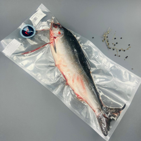 WhatsApp Image 2025-07-23 at 12.11.41 (1)