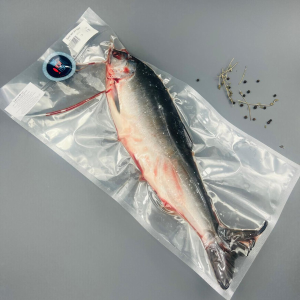 WhatsApp Image 2025-07-23 at 12.11.41 (1)