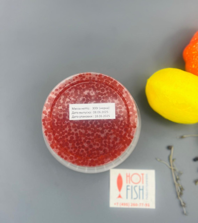 WhatsApp Image 2025-06-17 at 17.24.53 (1)