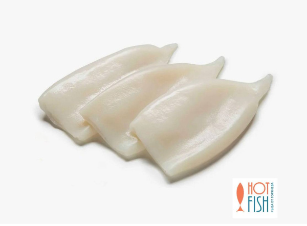 photo_5458704688359346463_y