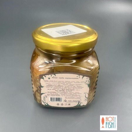 WhatsApp Image 2025-11-14 at 15.58.53 (1)