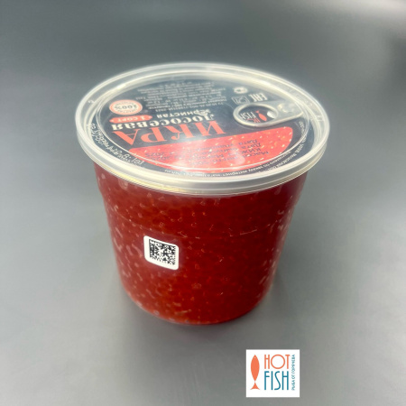 WhatsApp Image 2025-11-12 at 14.38.48