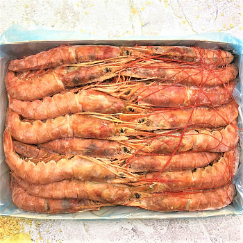 Креветки дикие аргентинские с головой L1, сыромороженные (2 кг)
