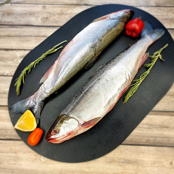 Голец неразделанный Дельтафиш ~1 кг