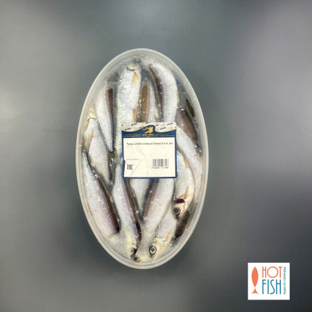 WhatsApp Image 2025-10-14 at 14.36.27 (2) WhatsApp Image 2025-10-14 at 14.36.27 (2)