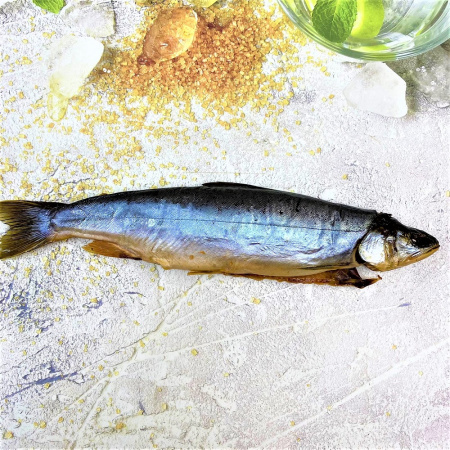 Голец хк