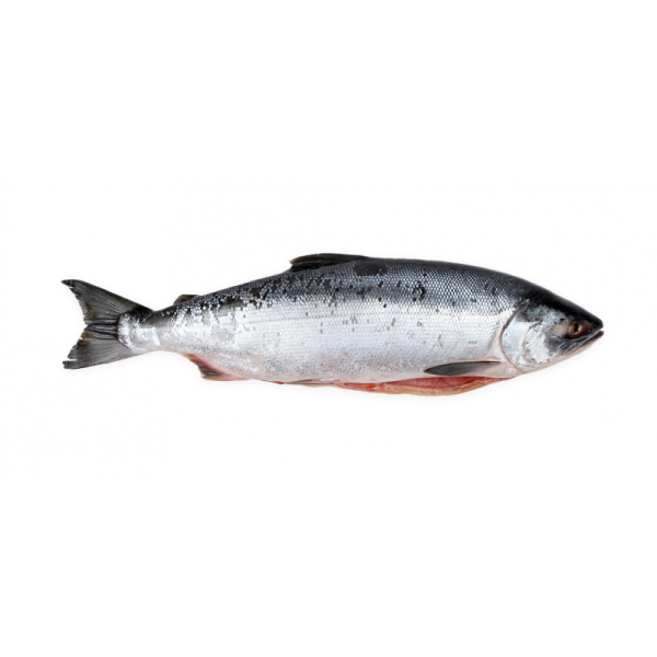 nerkasgolovoj-800x800