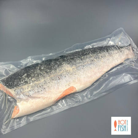 WhatsApp Image 2025-08-19 at 13.56.59 (1)