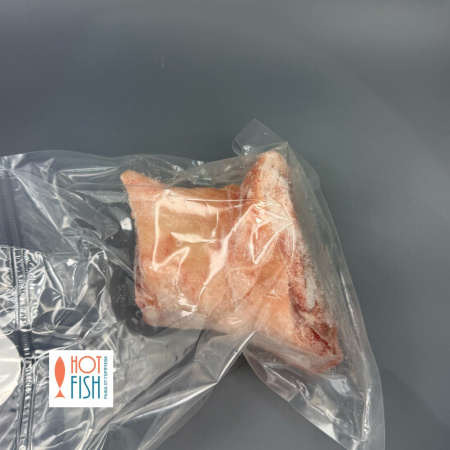 photo_5458704688359345923_y