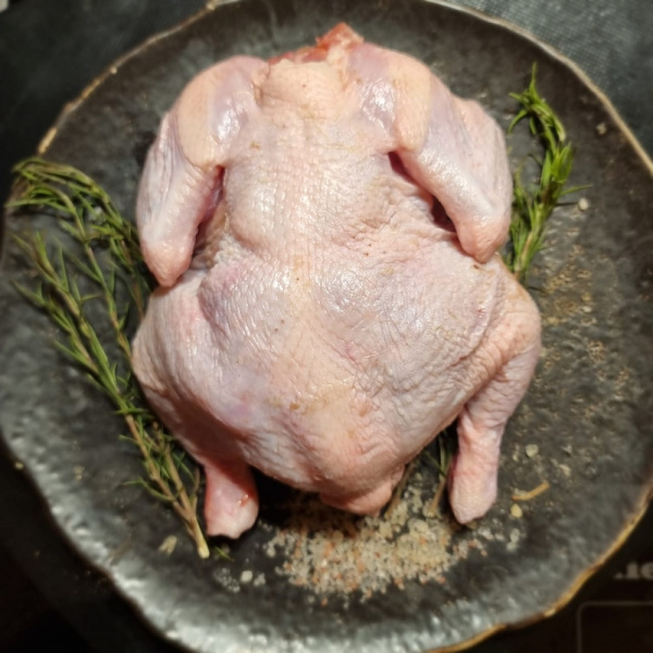 цыпленок приосколье