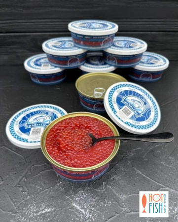 WhatsApp Image 2025-11-13 at 14.40.09 (2)