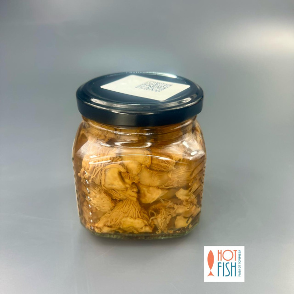 WhatsApp Image 2025-11-14 at 14.52.34