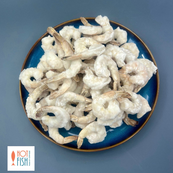 WhatsApp Image 2025-08-06 at 17.04.05