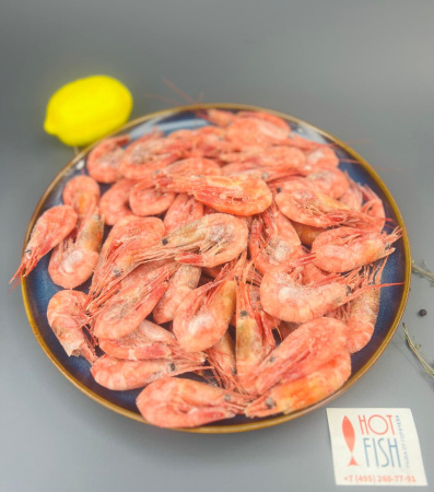 WhatsApp Image 2025-05-27 at 13.26.38 (2)