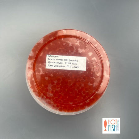 WhatsApp Image 2025-11-12 at 14.51.41