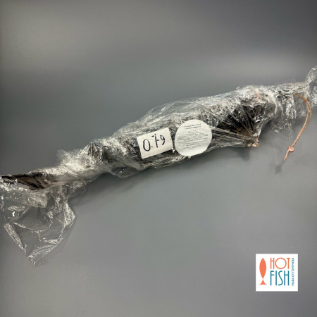 photo_5339188105132575842_y