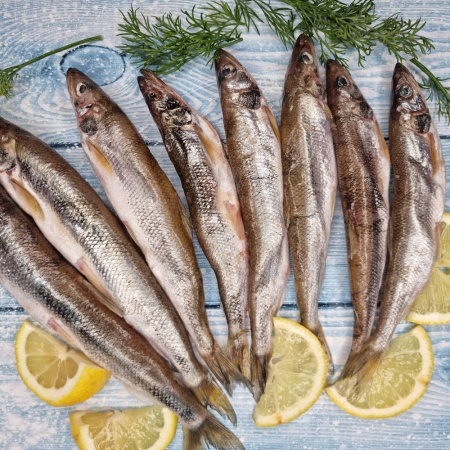 корюшка мелкая хорошее фото
