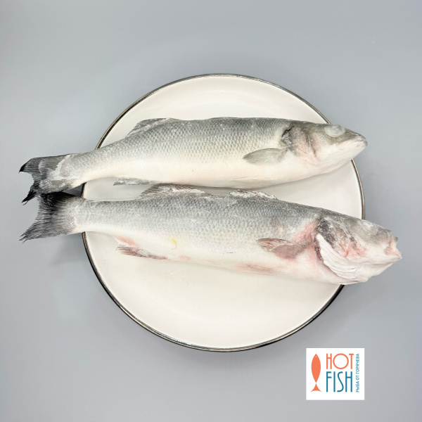 copy_45001430-4824-4358-AC2F-5E1E58D97A73