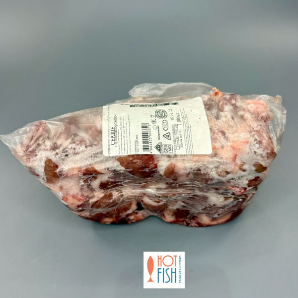 photo_5305331247305397697_y